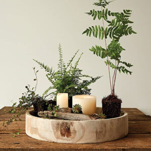 Desktop Tray Accessories Storage Tray Round Solid Wood Plate